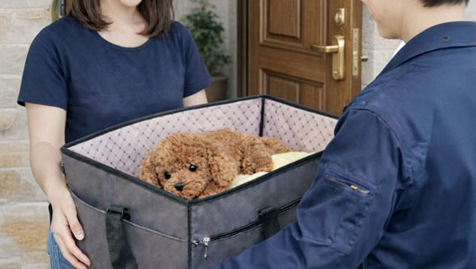 ペット火葬スタッフがご自宅へ訪問する様子